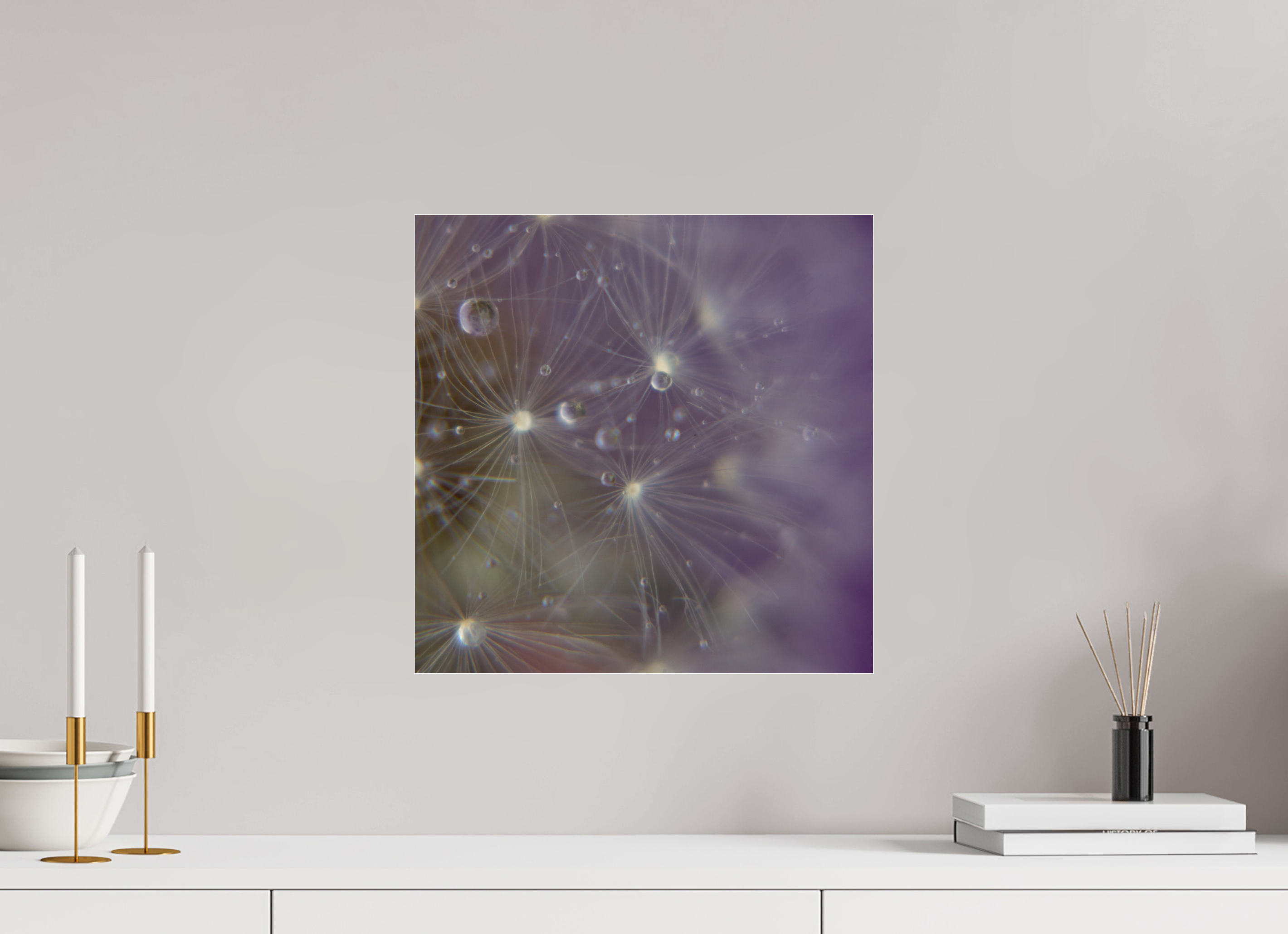 40 x 40 cm, Photo Print Under Acrylic Glass Macro im Quadrat - Pusteblume 1