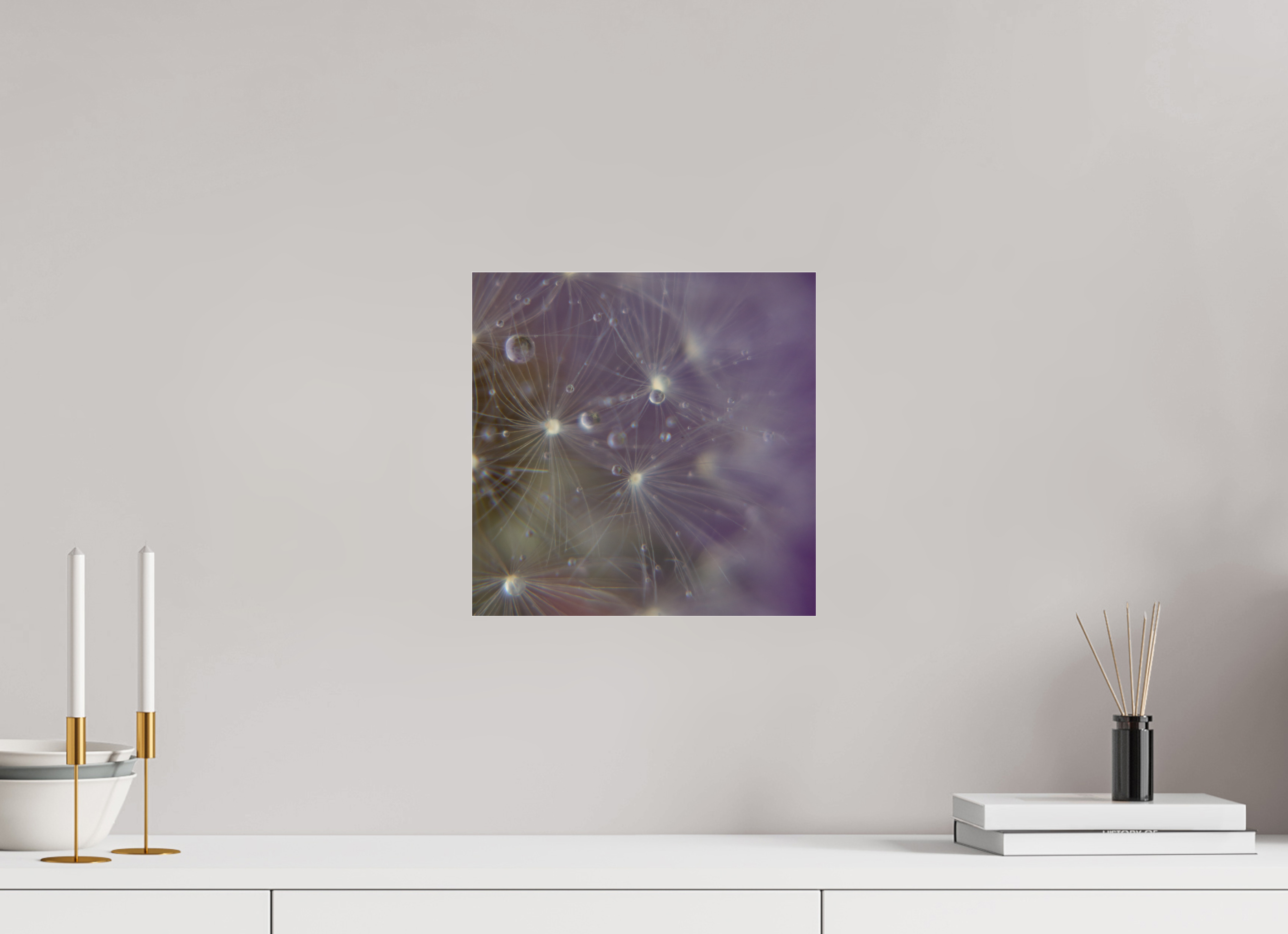 30 x 30 cm, Photo Print Under Acrylic Glass Macro im Quadrat - Pusteblume 1