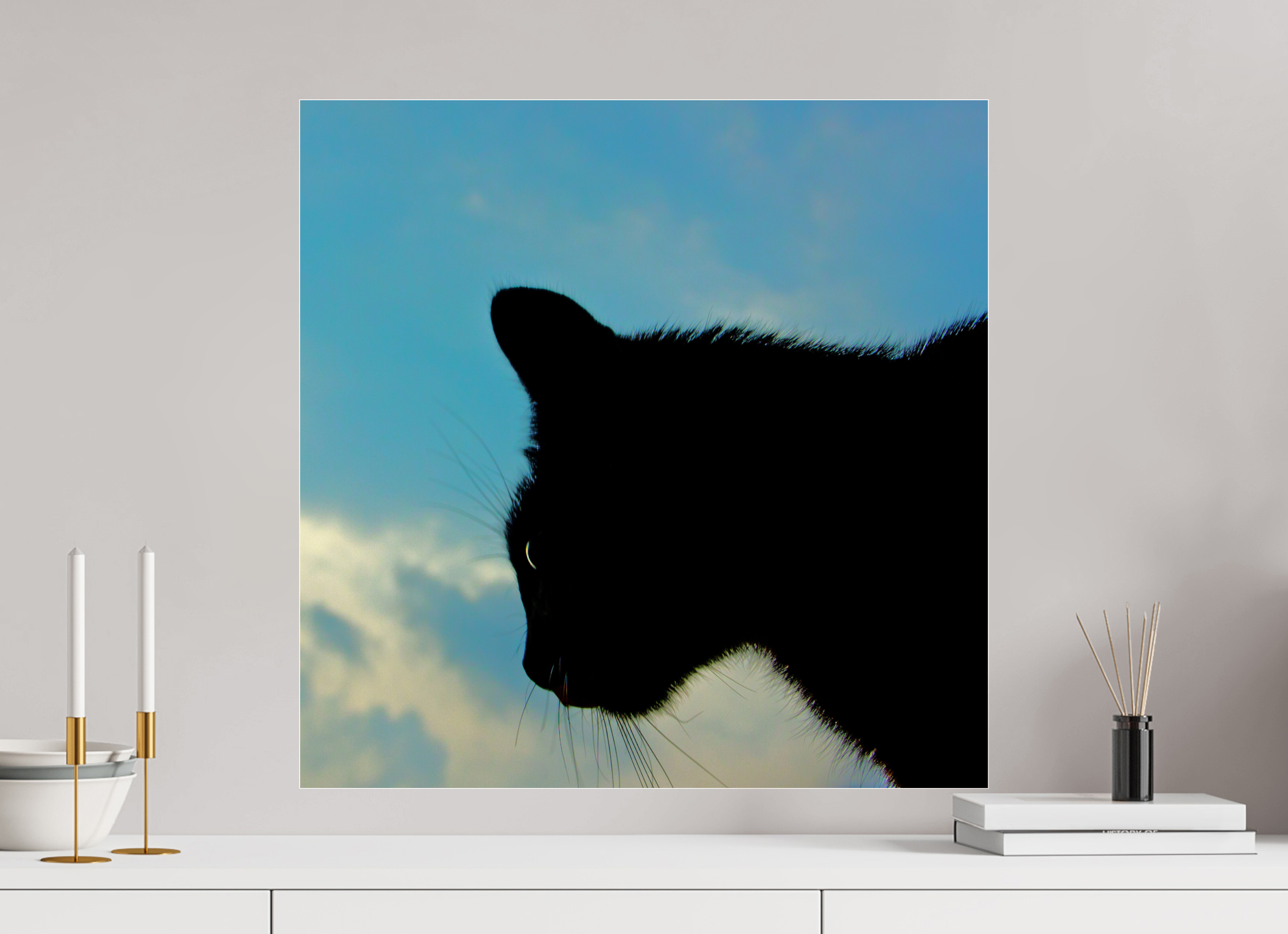 60 x 60 cm, Photo Print Under Acrylic Glass Haarige Angelegenheiten - A cat called Mr Tom 1