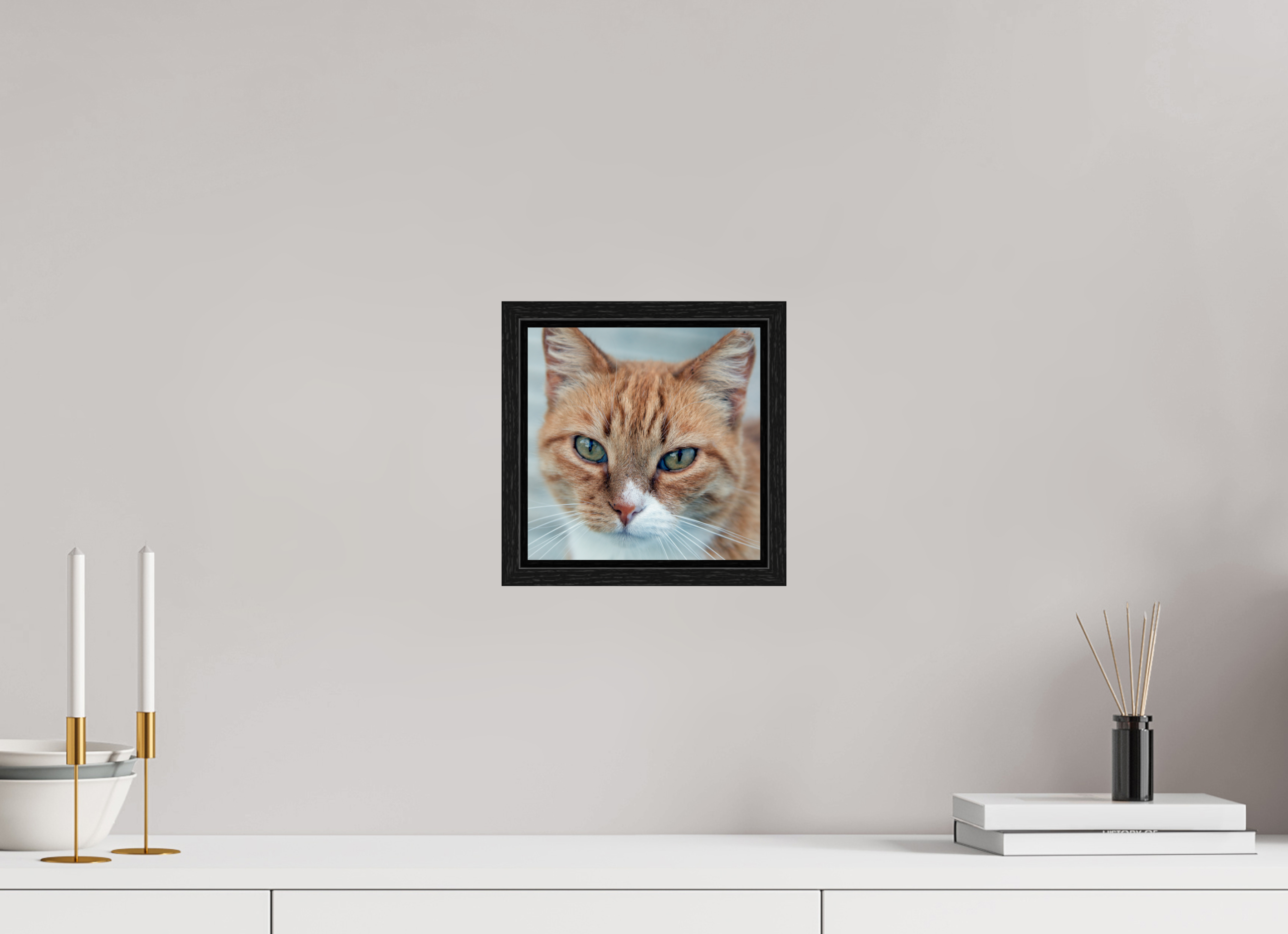 20 x 20 cm, Floater Frame Haarige Angelegenheiten - Homeless Cat 1