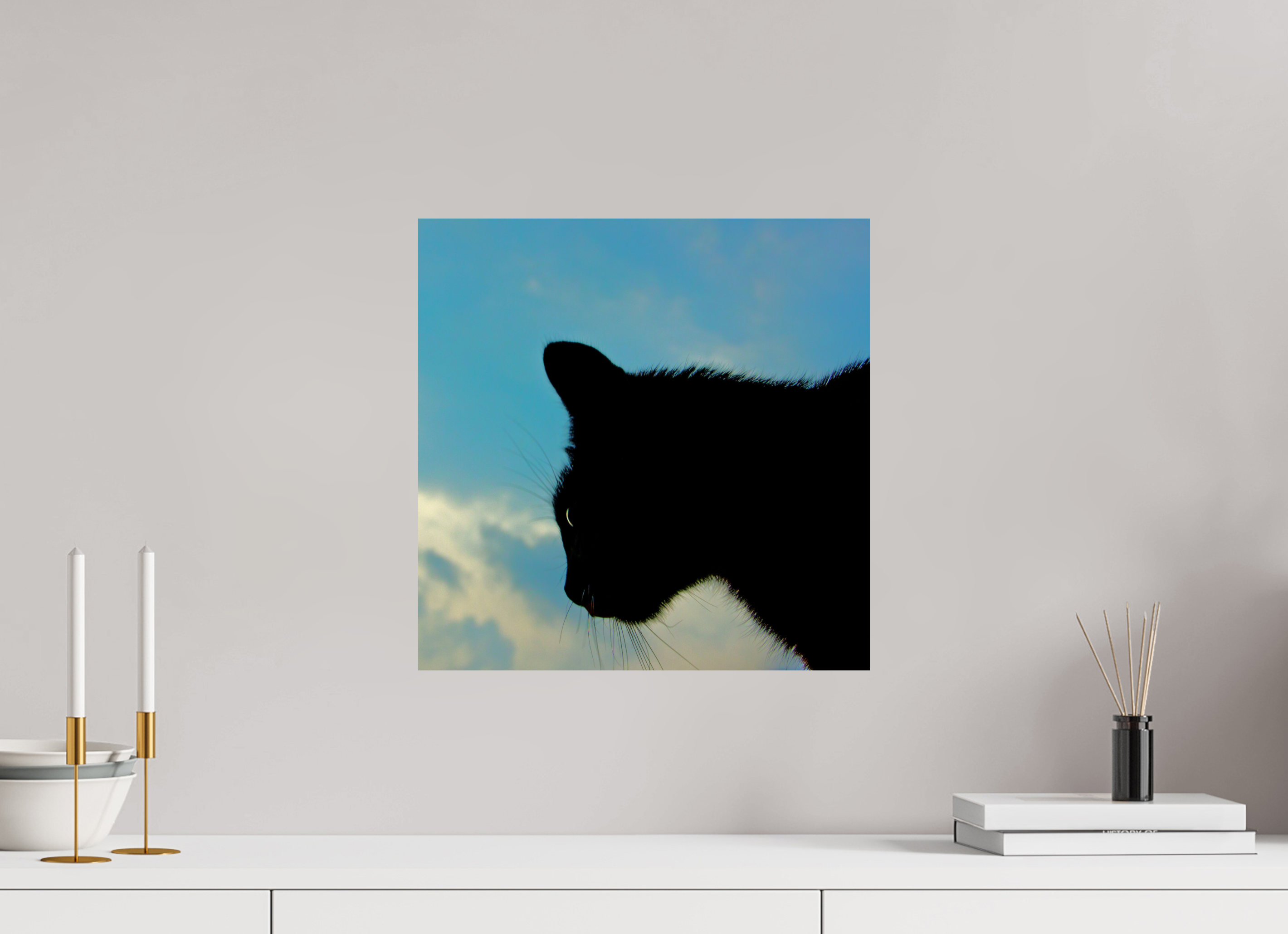 40 x 40 cm, Photo Print On Fuji Crystal DP II Haarige Angelegenheiten - A cat called Mr Tom 1