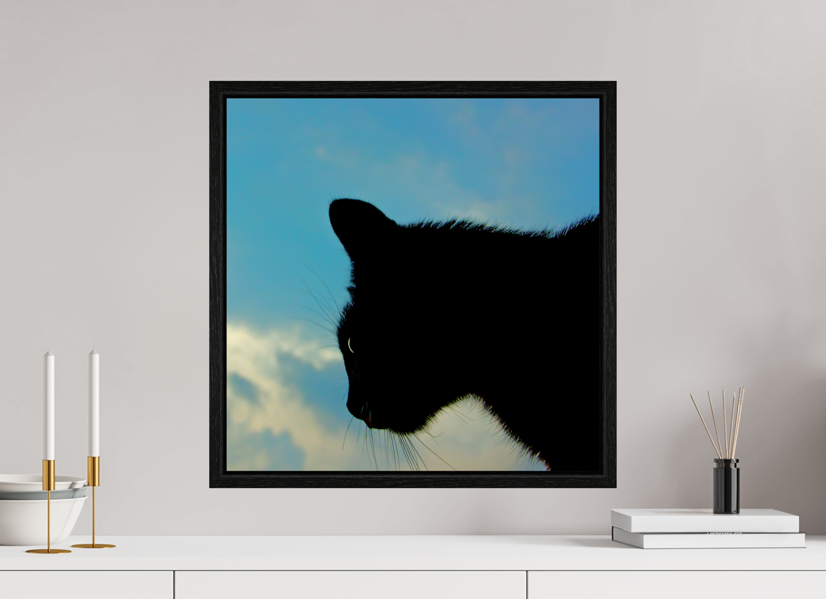 50 x 50 cm, Floater Frame Haarige Angelegenheiten - A cat called Mr Tom 1