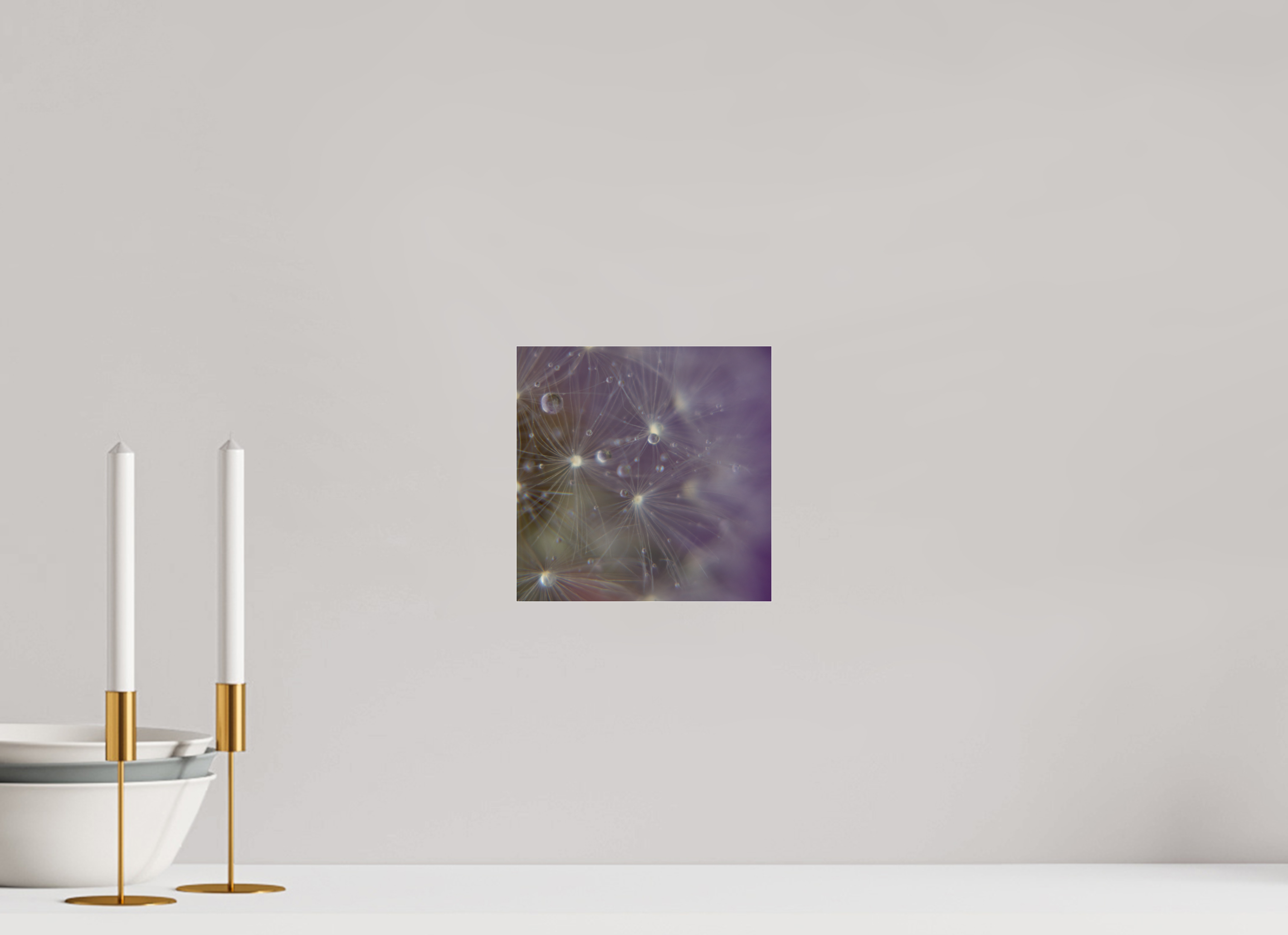 20 x 20 cm, Photo Print Under Acrylic Glass Macro im Quadrat - Pusteblume 1