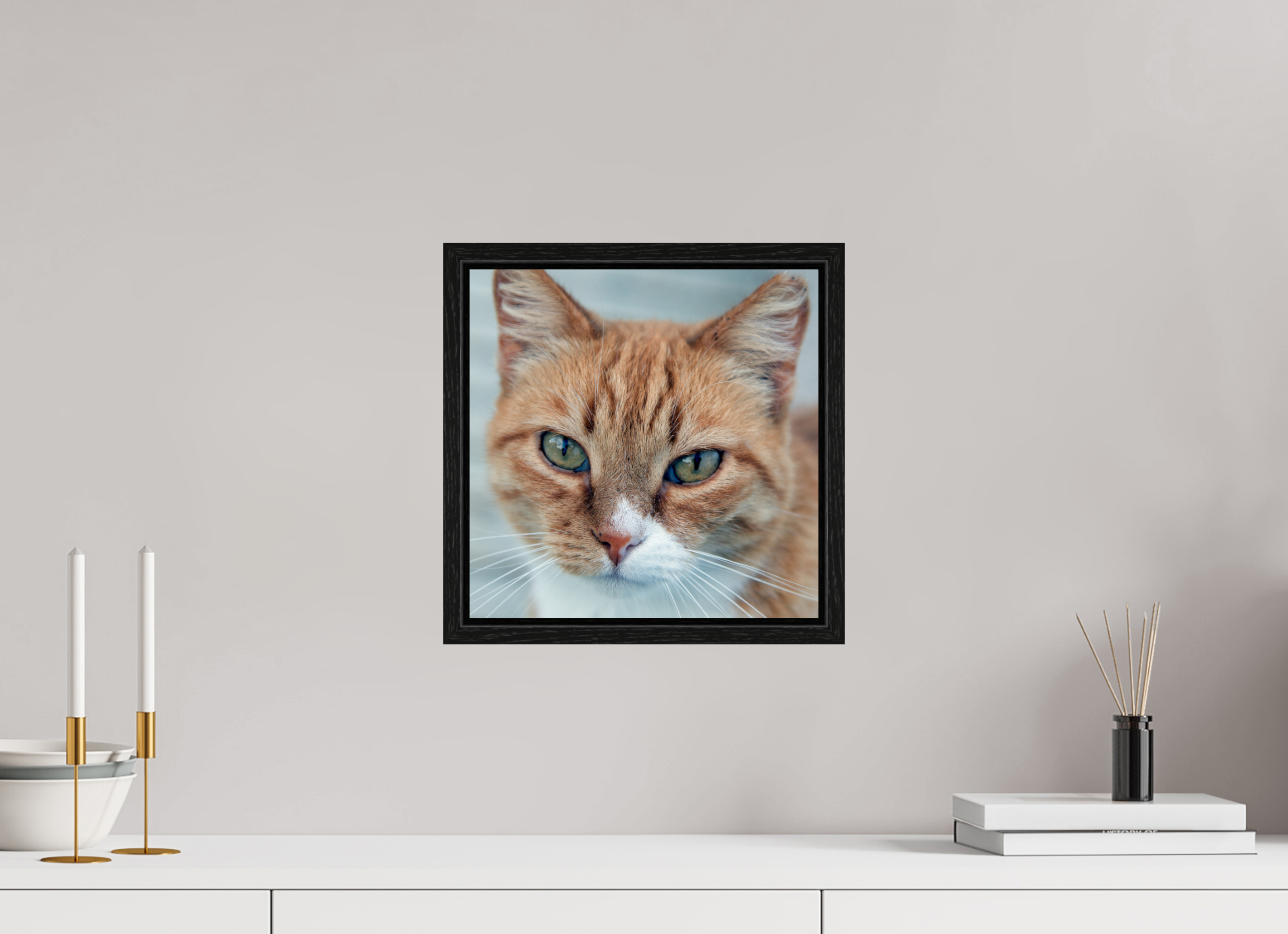 30 x 30 cm, Floater Frame Haarige Angelegenheiten - Homeless Cat 1