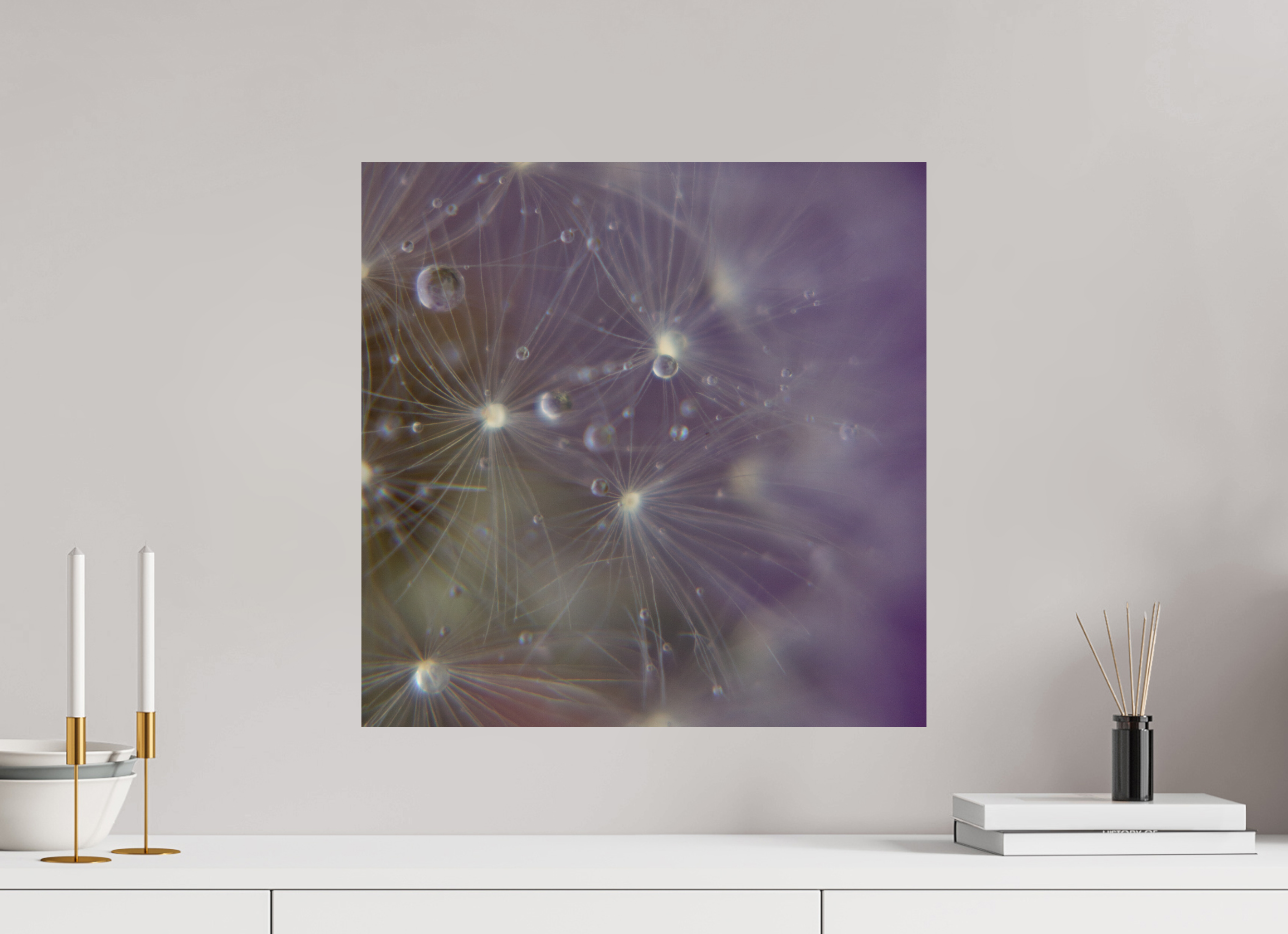 50 x 50 cm, Photo Print On Fuji Crystal DP II Macro im Quadrat - Pusteblume 1