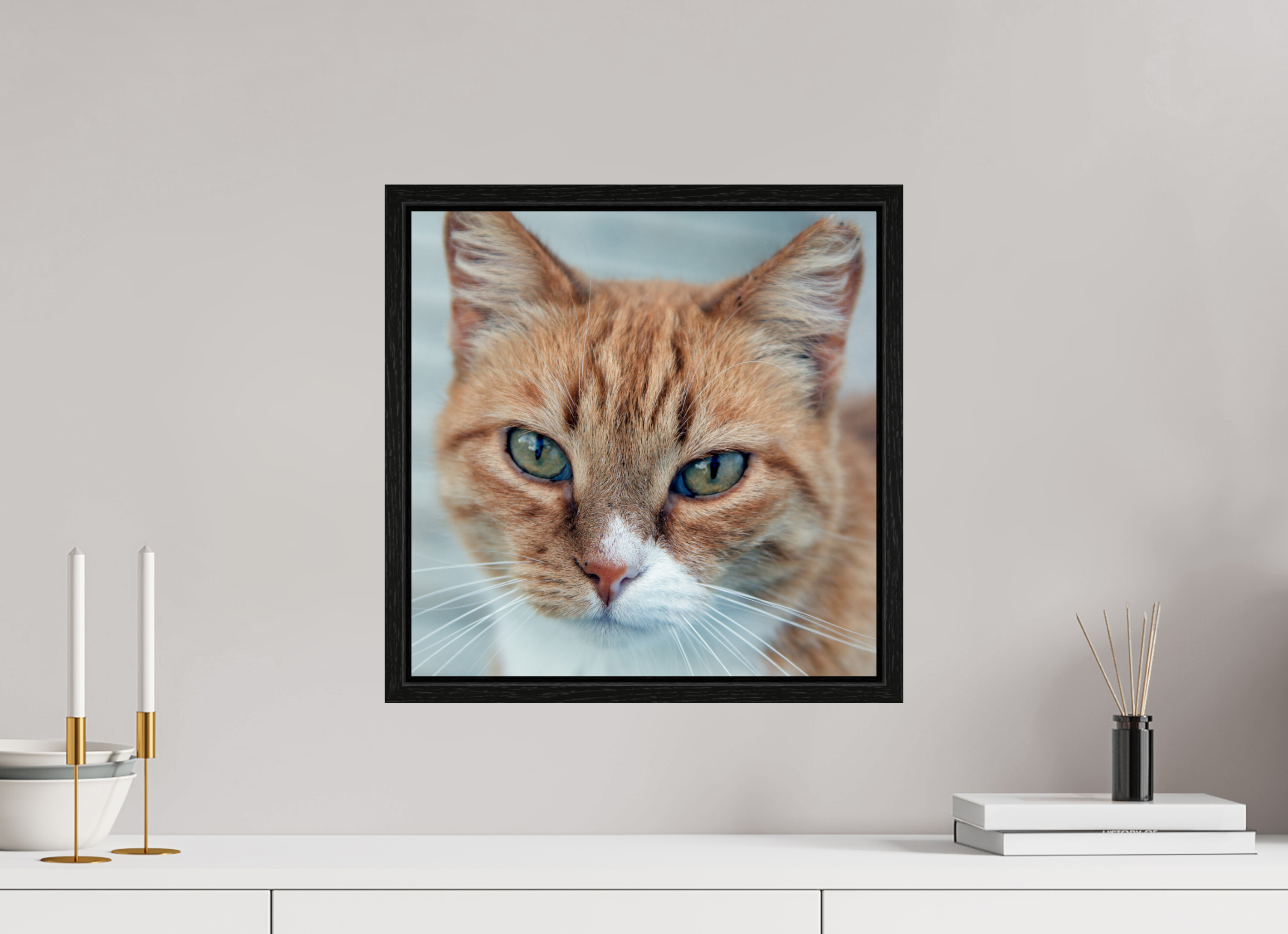 40 x 40 cm, Floater Frame Haarige Angelegenheiten - Homeless Cat 1
