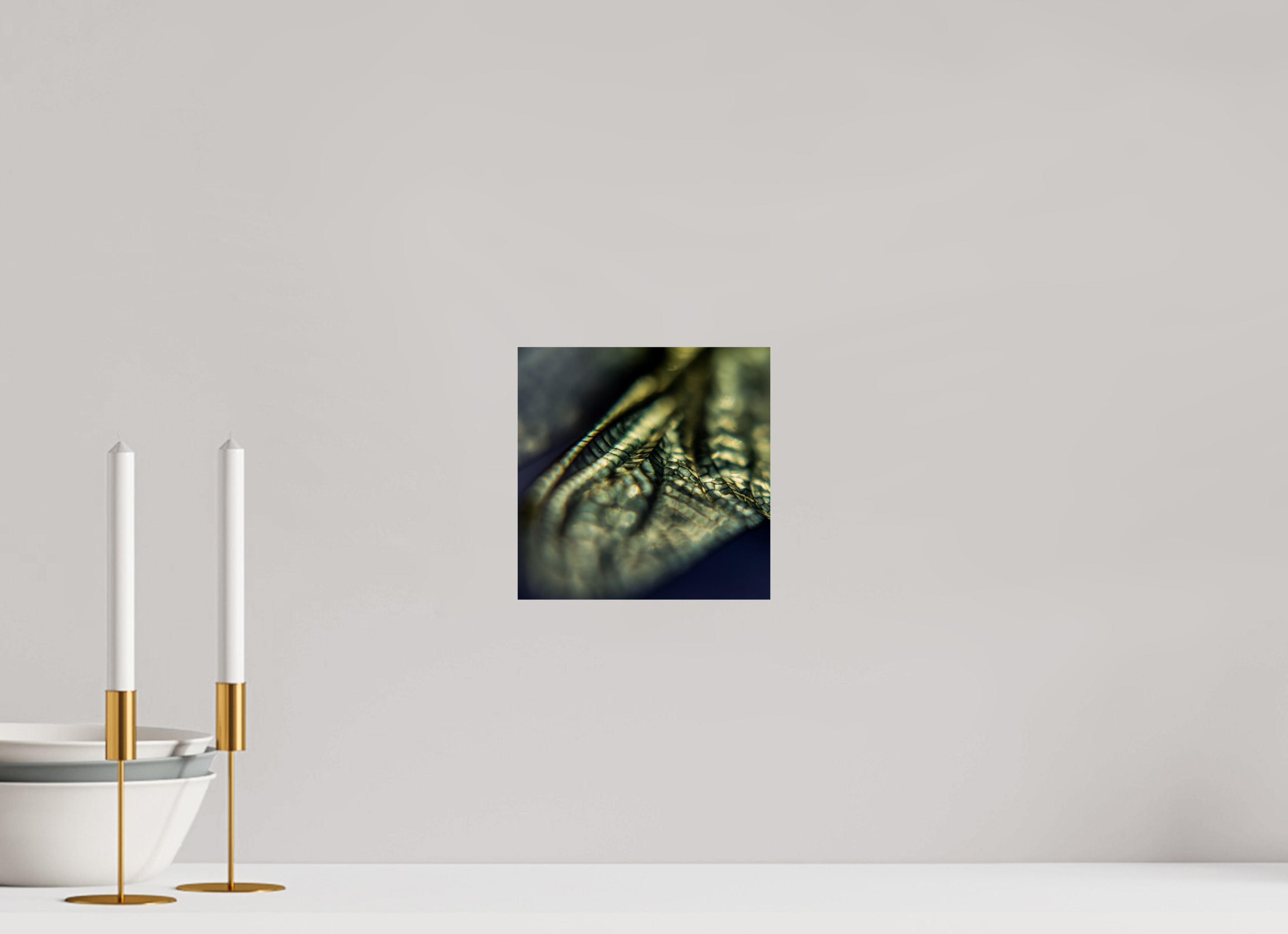 20 x 20 cm, Photo Print On Fuji Crystal DP II Macro im Quadrat - Libellenflügel 1