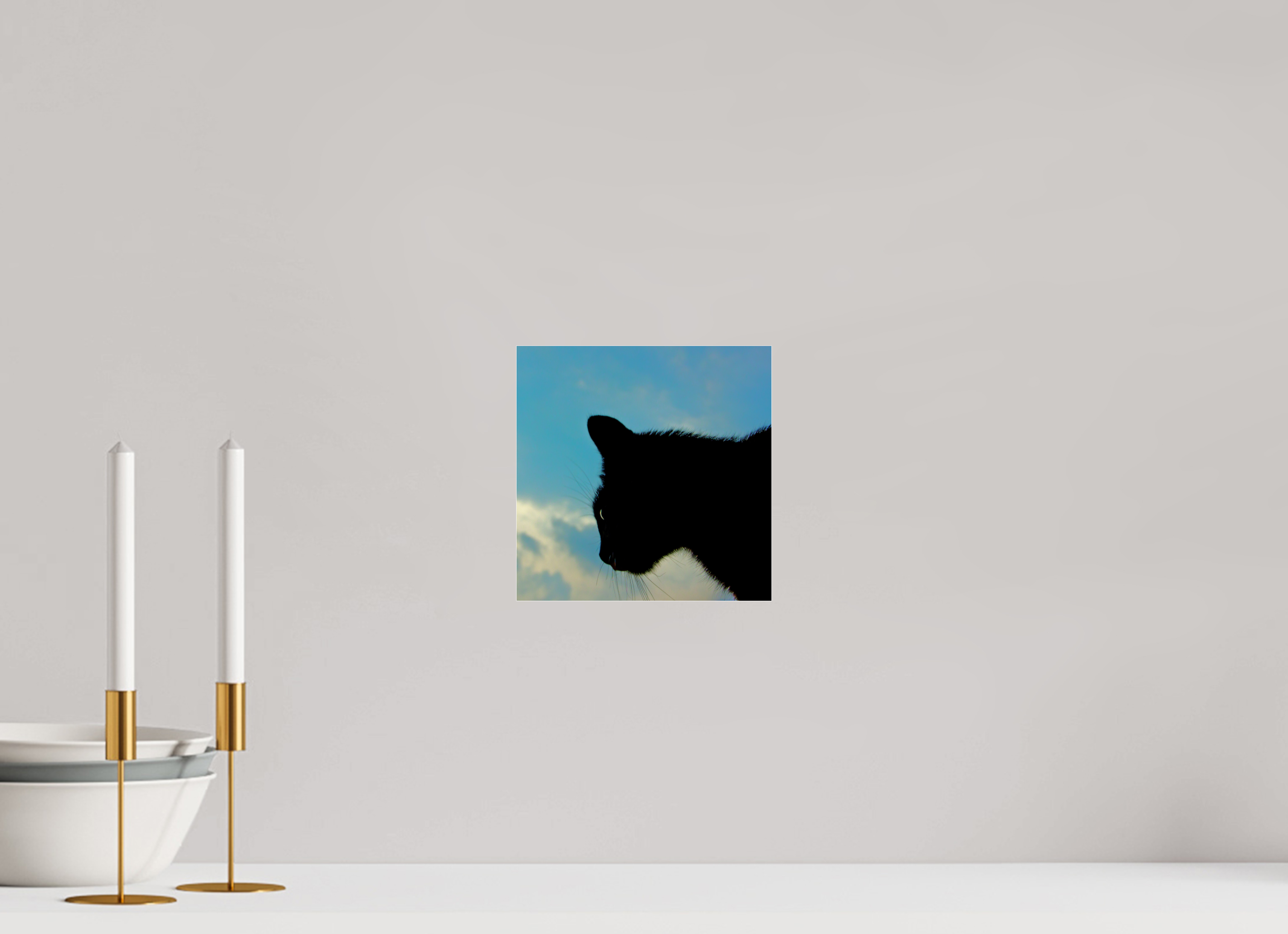 20 x 20 cm, Photo Print Under Acrylic Glass Haarige Angelegenheiten - A cat called Mr Tom 1