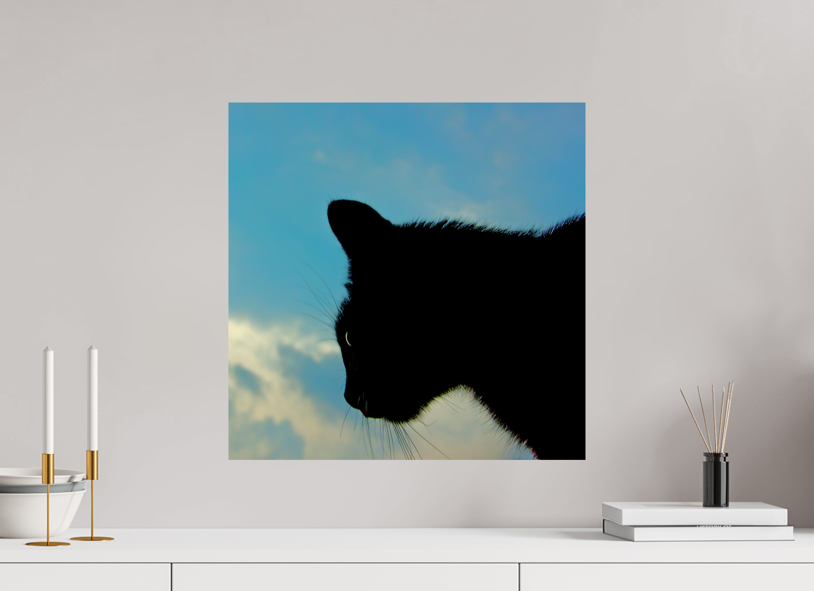 50 x 50 cm, Photo Print On Fuji Crystal DP II Haarige Angelegenheiten - A cat called Mr Tom 1
