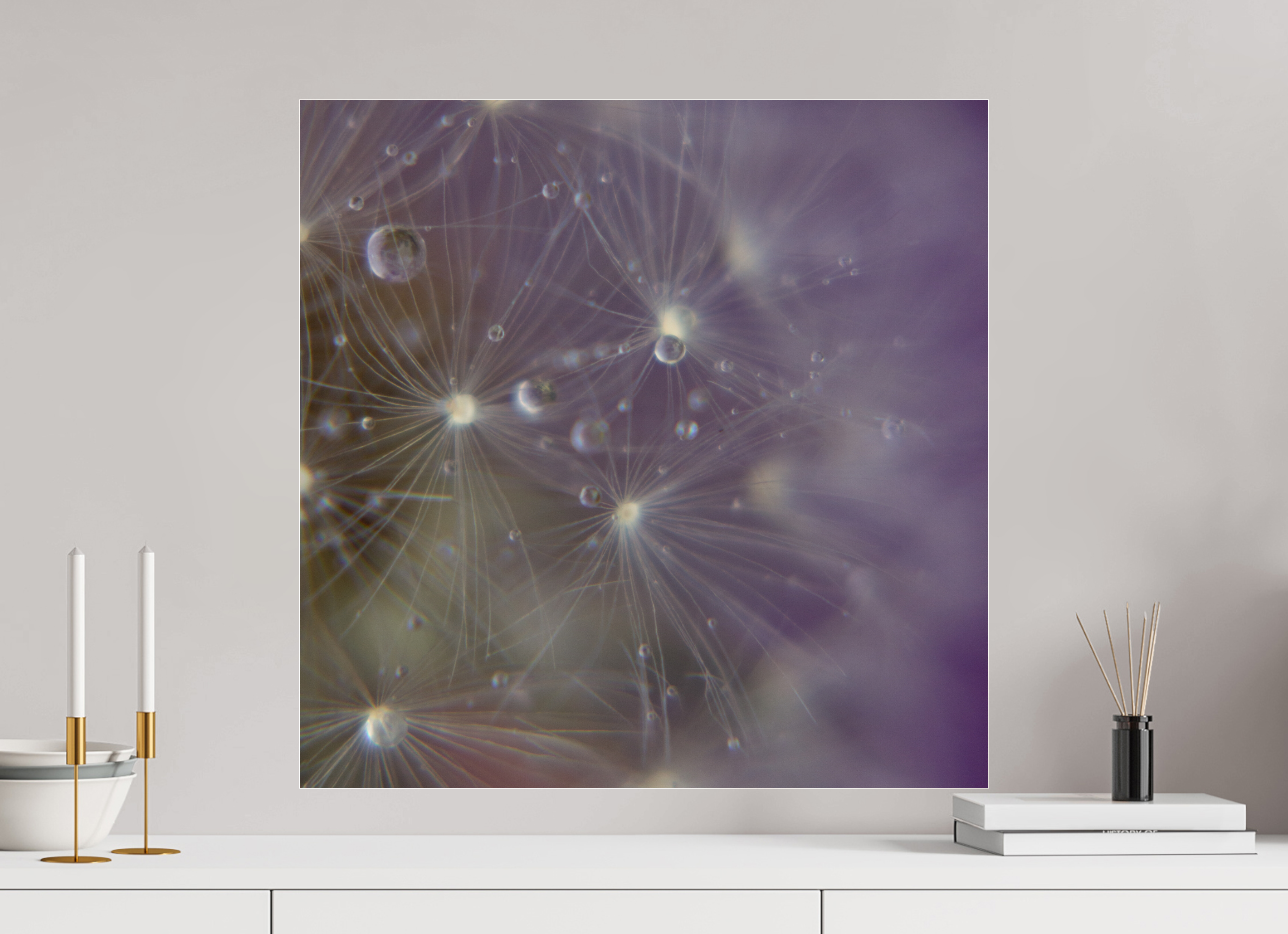 60 x 60 cm, Photo Print Under Acrylic Glass Macro im Quadrat - Pusteblume 1