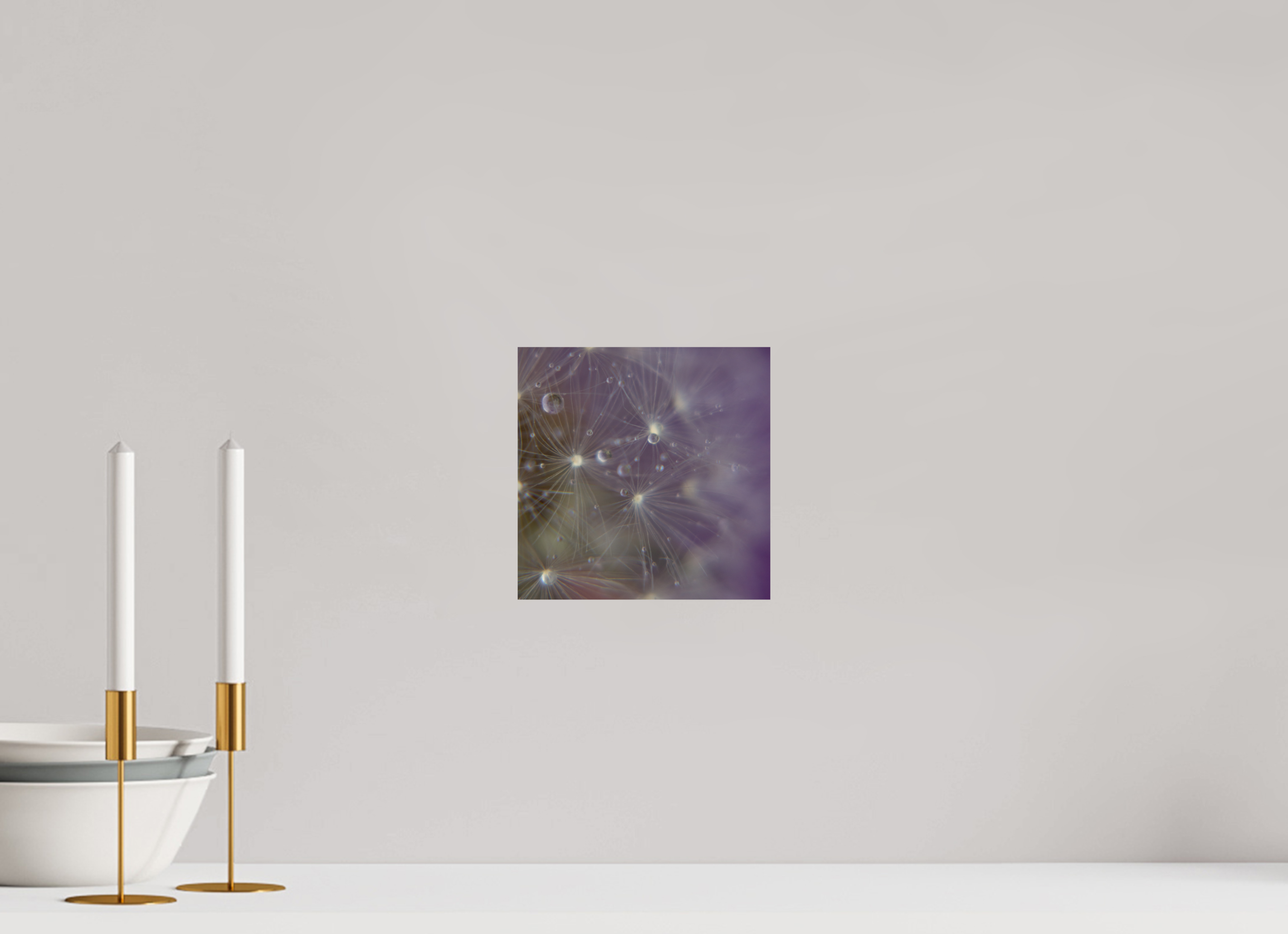 20 x 20 cm, Photo Print On Fuji Crystal DP II Macro im Quadrat - Pusteblume 1