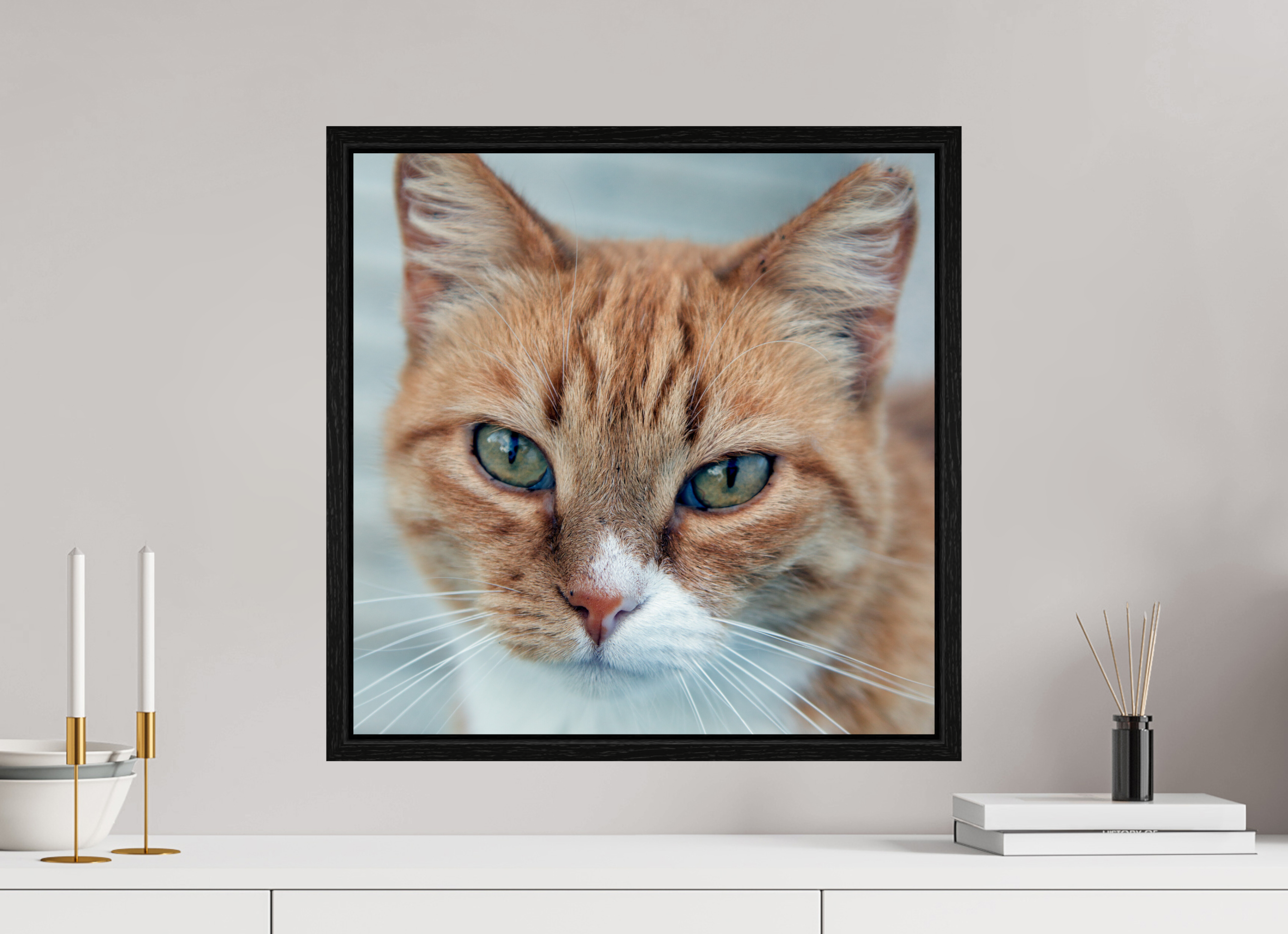 50 x 50 cm, Floater Frame Haarige Angelegenheiten - Homeless Cat 1