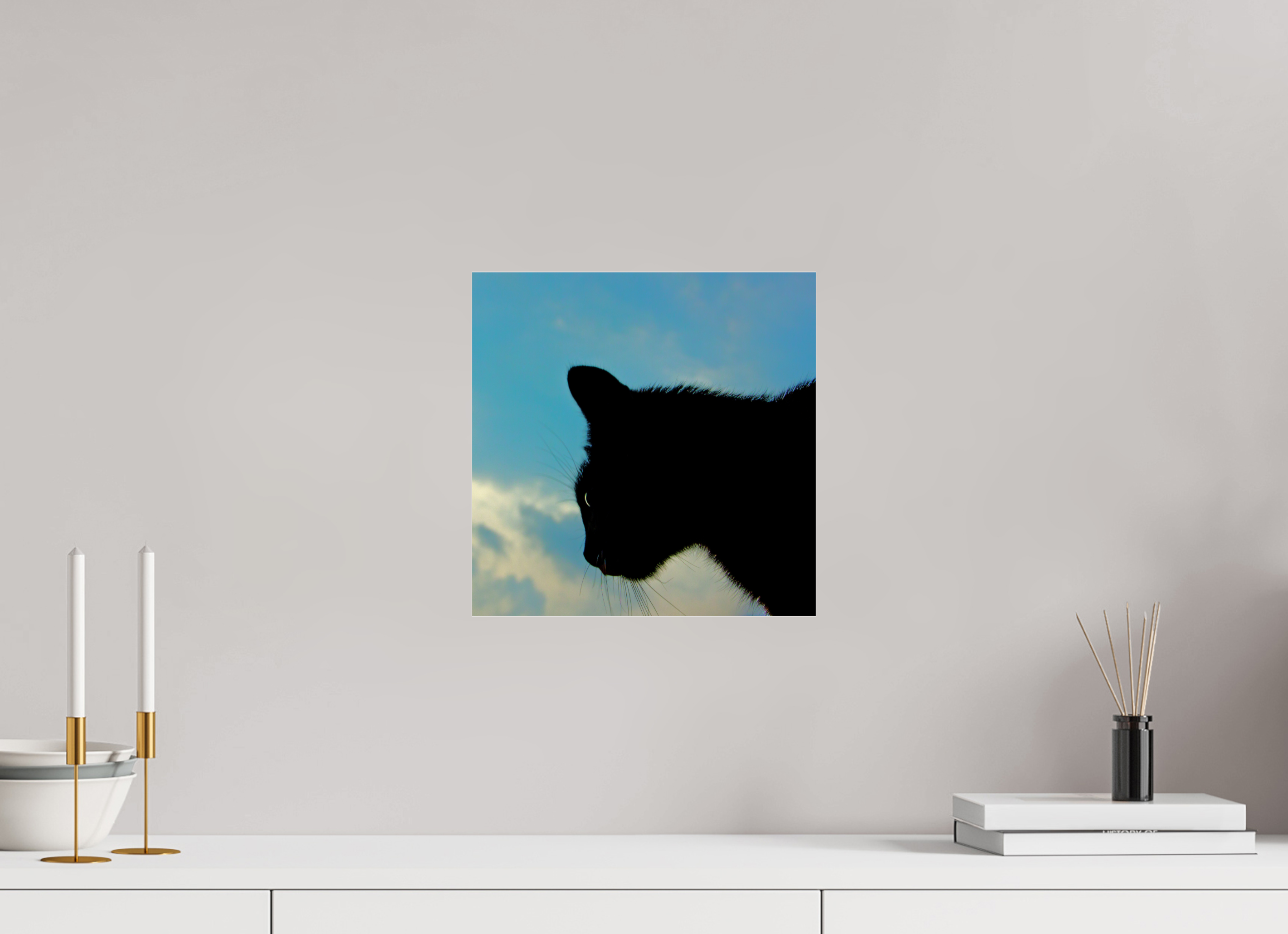 30 x 30 cm, Photo Print Under Acrylic Glass Haarige Angelegenheiten - A cat called Mr Tom 1