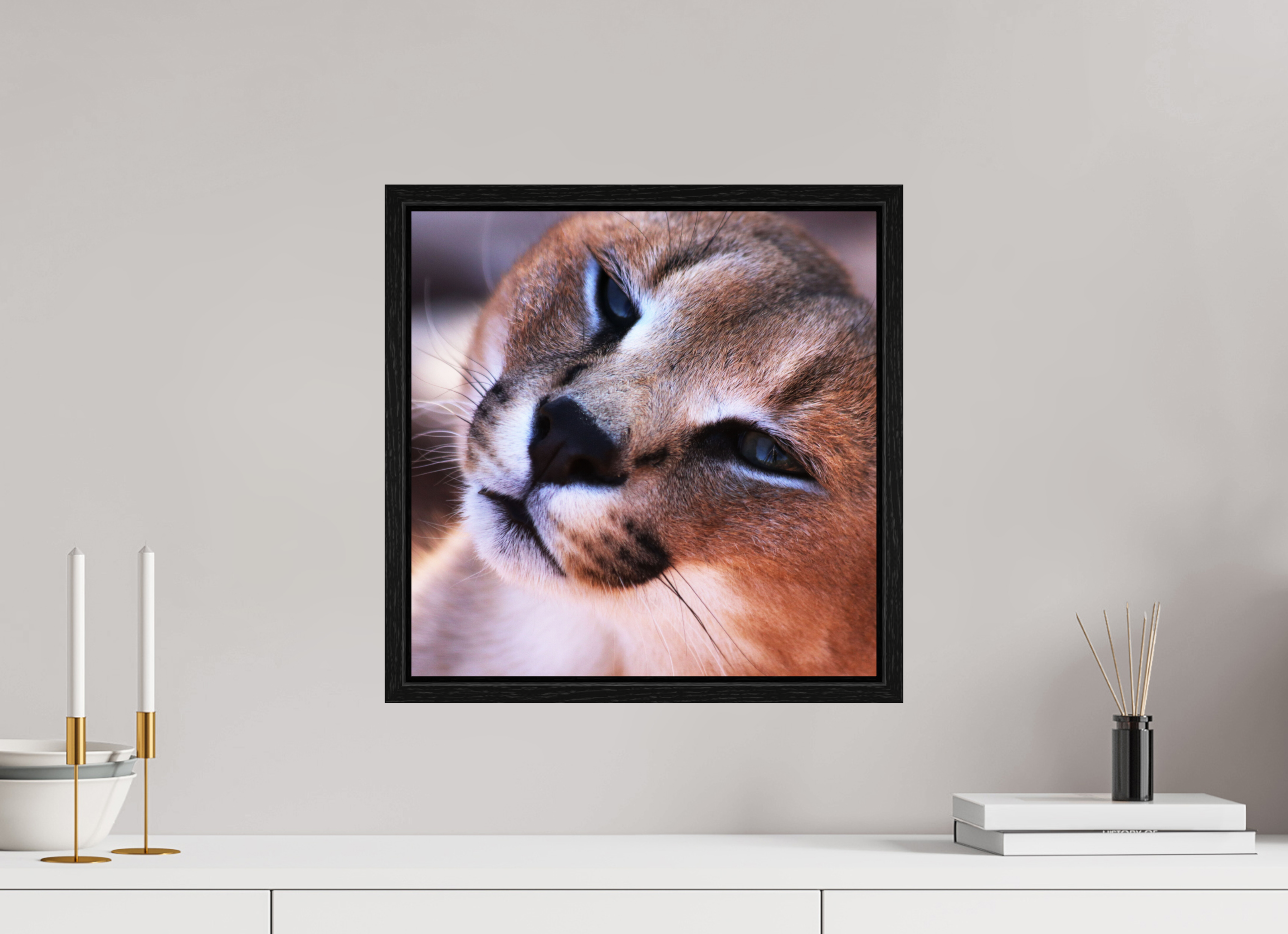 40 x 40 cm, Floater Frame Haarige Angelegenheiten - In the Wild (Caracal 1)