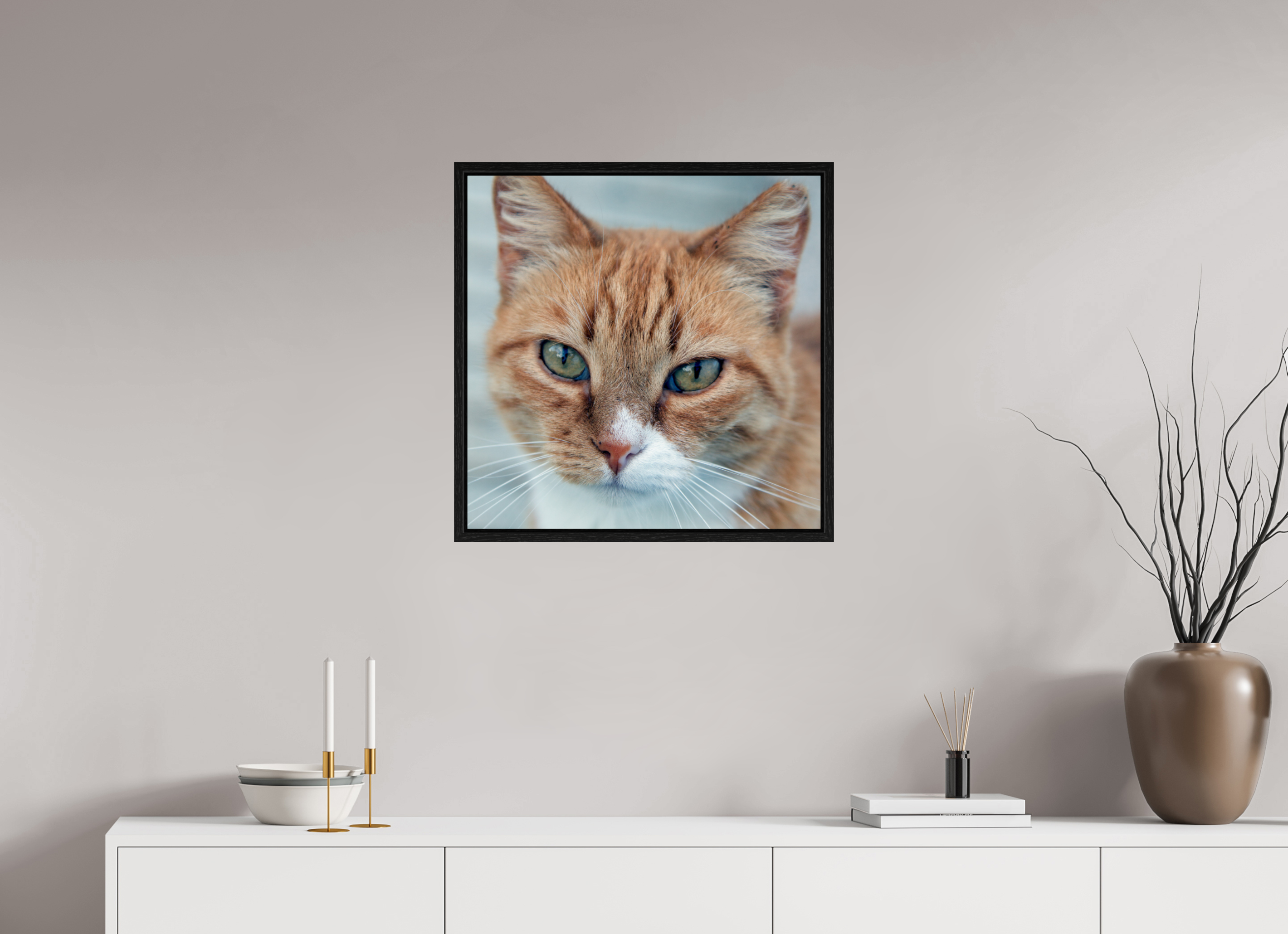 60 x 60 cm, Floater Frame Haarige Angelegenheiten - Homeless Cat 1