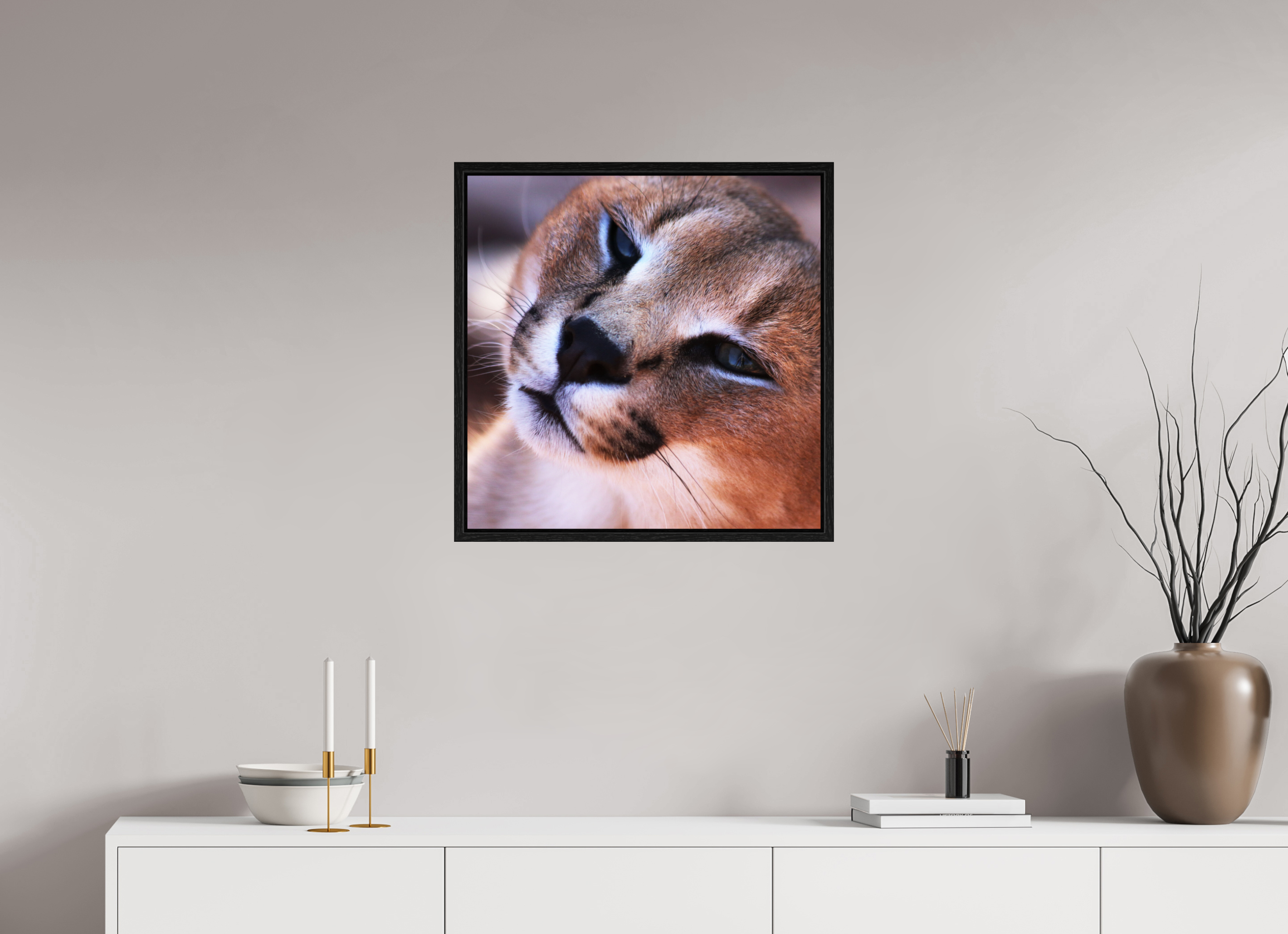 60 x 60 cm, Floater Frame Haarige Angelegenheiten - In the Wild (Caracal 1)