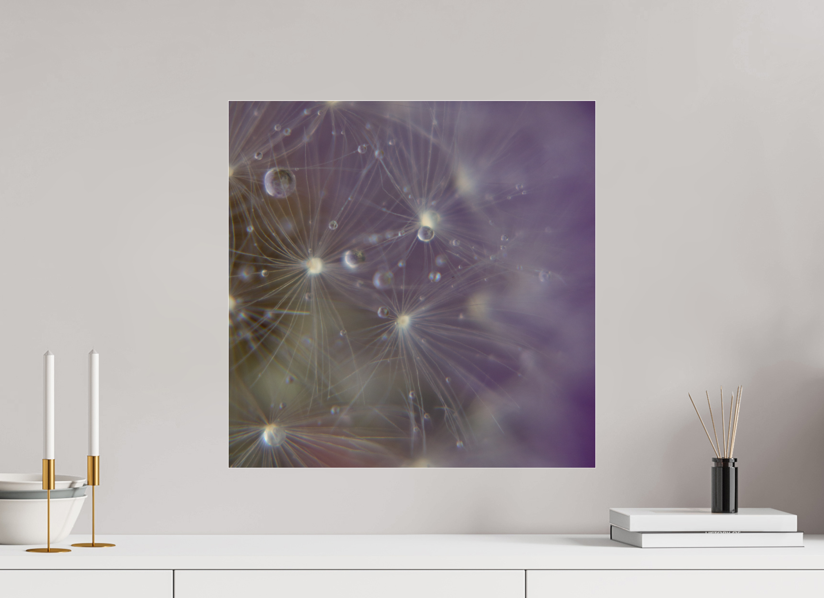 50 x 50 cm, Photo Print Under Acrylic Glass Macro im Quadrat - Pusteblume 1