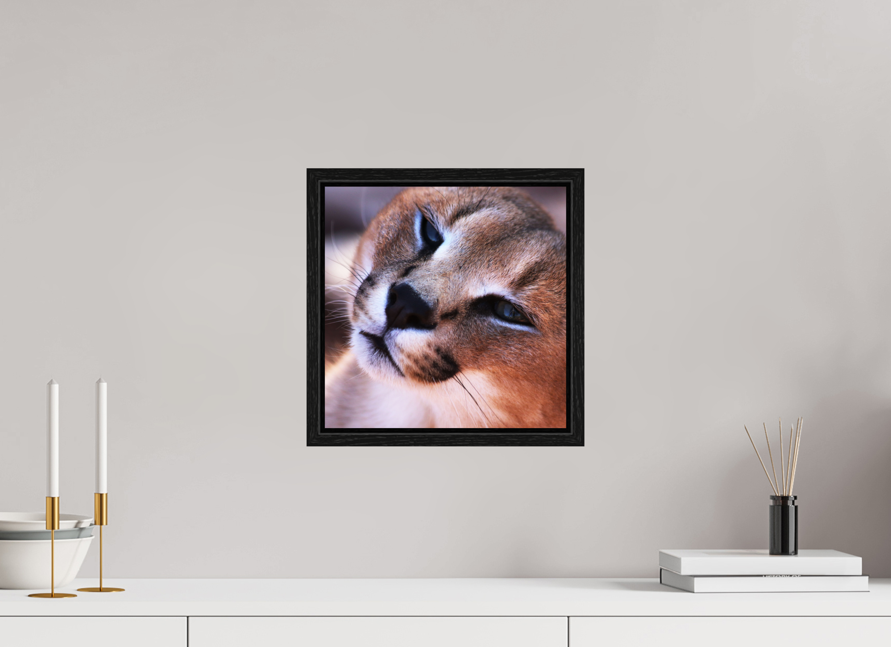 30 x 30 cm, Floater Frame Haarige Angelegenheiten - In the Wild (Caracal 1)